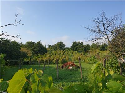 Vand/Schimb teren Intravilan 2500 mp Chiperesti