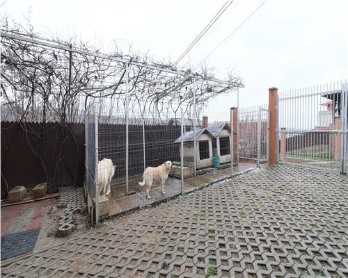 Vila individuala, 500 mp teren, garaj, gradinita Kiki