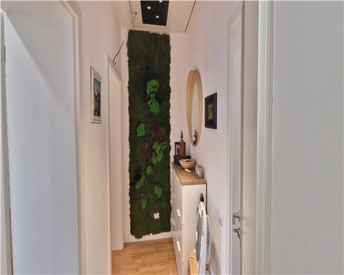 Apartament de lux in Cantemir, curte privata